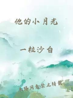 他的小月光
