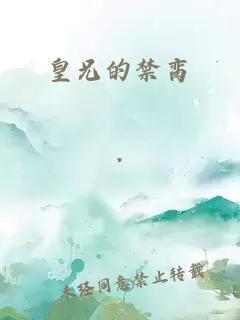 皇兄的禁脔