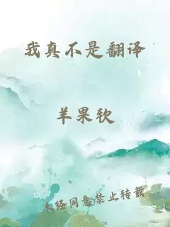 我真不是翻译
