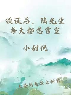 领证后，陆先生每天都想官宣