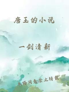 唐玉的小说