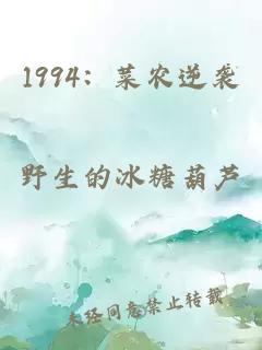 1994：菜农逆袭