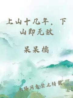 上山十几年，下山即无敌