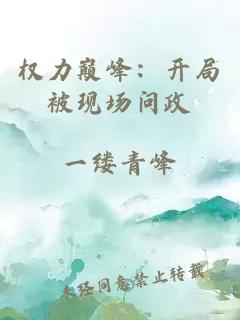 权力巅峰：开局被现场问政