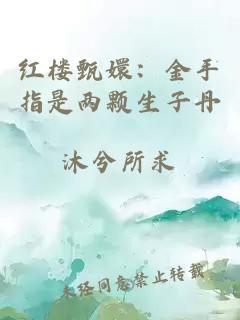 红楼甄嬛：金手指是两颗生子丹