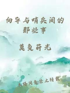 向导与哨兵间的那些事