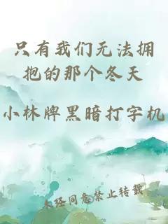 只有我们无法拥抱的那个冬天