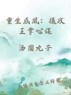 重生成凰：摄政王掌心谋