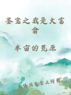 鉴宝之我是大富翁