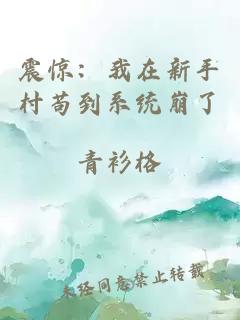 震惊：我在新手村苟到系统崩了