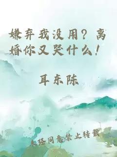 嫌弃我没用？离婚你又哭什么！