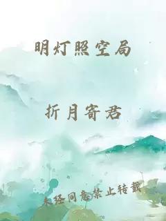 明灯照空局