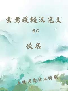 玄莺煨糙汉宠文 sc