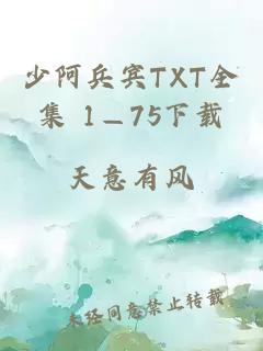 少阿兵宾TXT全集 1—75下载