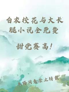 白衣校花与大长腿小说全免费