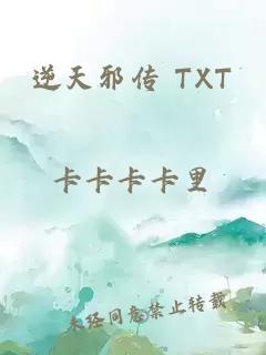 逆天邪传 TXT