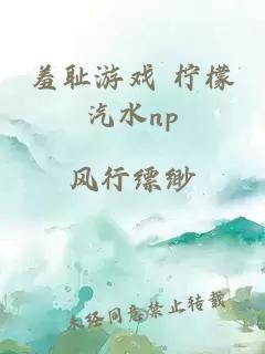 羞耻游戏 柠檬汽水np