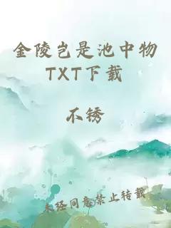 金陵岂是池中物TXT下载