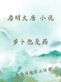 启明大唐 小说