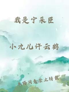 我是宁采臣