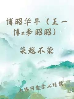 博昭华年（王一博x季昭昭）