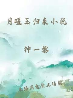 月暖玉归来小说