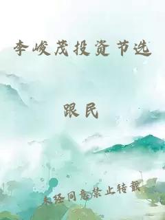 李峻茂投资节选