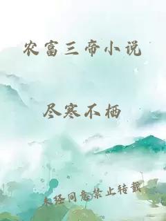 农富三帝小说