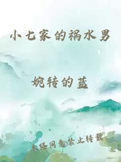 小七家的祸水男