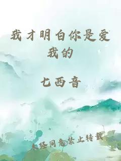 我才明白你是爱我的