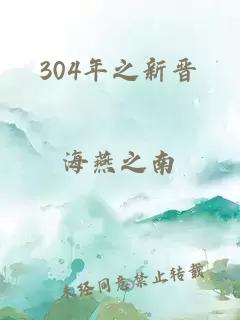 304年之新晋