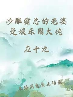 沙雕霸总的老婆是娱乐圈大佬