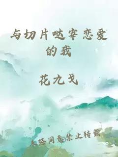 与切片哒宰恋爱的我