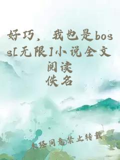 好巧，我也是boss[无限]小说全文阅读